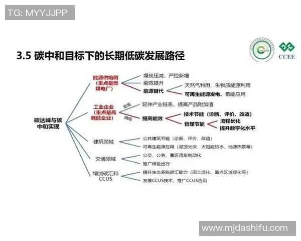 国内多地开展绿色能源创新试点推动碳中和目标实现加速发展