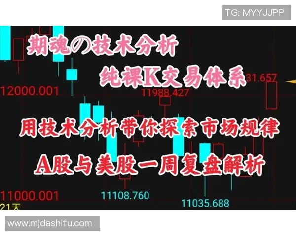 南京足球队与成都足球队赛后技术分析与战术复盘探讨